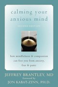 Cover of Calming your anxious mind : how mindfulness & compassion can free you from anxi…